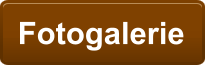 Fotogalerie